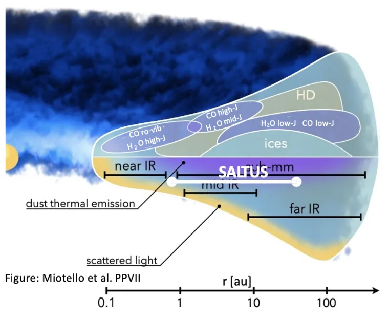 Distribution of mass and C/N/O in 1000 protoplanetary disks